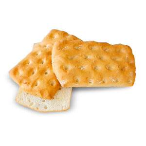 CIABATTINA SENZA GLUTINE 100G  18 PZ